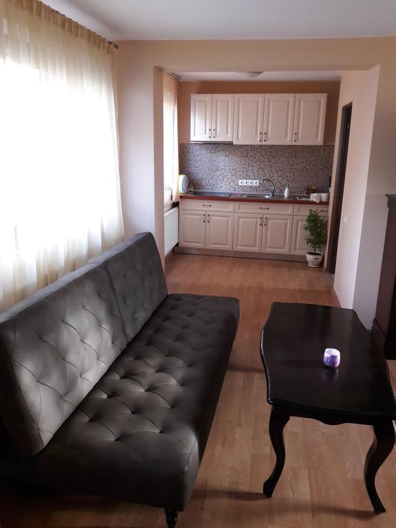 Bogdan'S Apartment 시비우 외부 사진